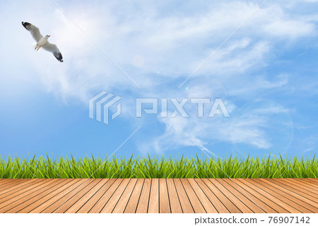 Wood floor and grass under blue sky and bird Wood floor and grass under blue sky and bird 76907142