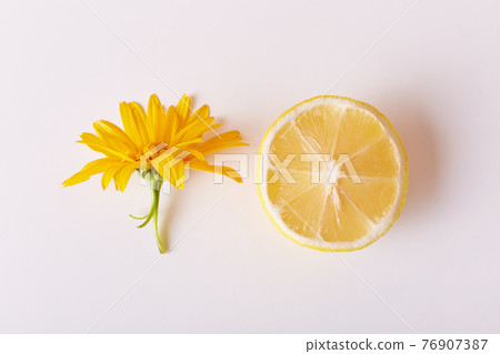 Beautiful flowers with lemon pieces on white background, composition of lemon slice and daisy, top view of citrus chunk and yellow marguerite. Beautiful flowers with lemon pieces on white background, composition of lemon slice and daisy, top view of citrus chunk and yellow marguerite. 76907387