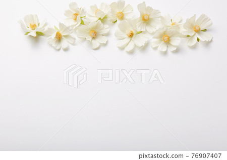 Floral composition. Beautiful flowers above isolated over white background. Spring pattern. Horizontal shot. Mockup shot Floral composition. Beautiful flowers above isolated over white background. Spring pattern. Horizontal shot. Mockup shot 76907407