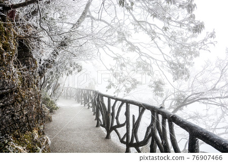 The way under trees with snow The way under trees with snow 76907466