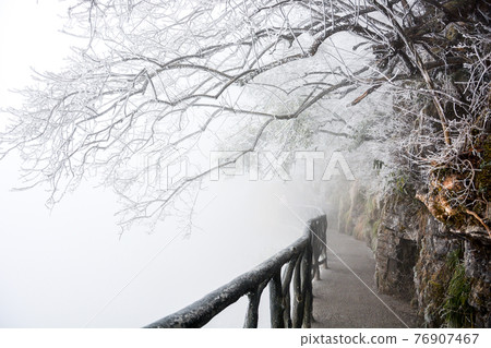The way under trees with snow The way under trees with snow 76907467