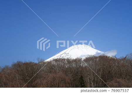 富士山天空森林景觀 76907537