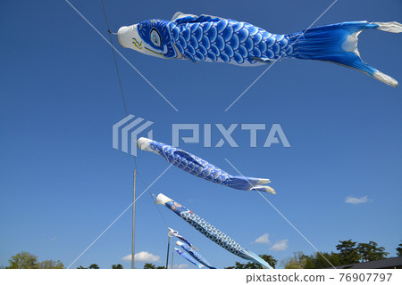 ≪鯉魚旗在藍天中游泳≫ 京都府京丹波町丹波自然運動公園 ≪鯉魚旗在藍天中游泳≫ 京都府京丹波町丹波自然運動公園 76907797