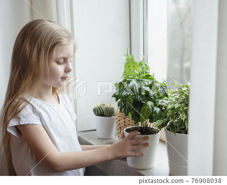 Little girl caring for houseplants Little girl caring for houseplants 76908038