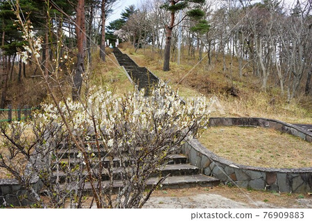 三陸海岸黑崎公園的自然風光 三陸海岸黑崎公園的自然風光 76909883
