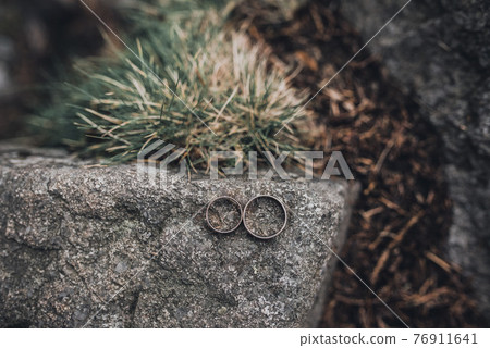 wedding rings bride and groom on the background 76911641