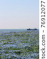 Nemophila、海和天空 76912077