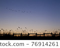 Migratory birds of our country 76914261