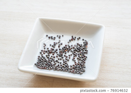 山東蔬菜種子 76914632