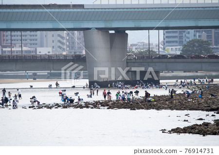 Muromi River estuary in Fukuoka city, which is crowded with clamming Muromi River estuary in Fukuoka city, which is crowded with clamming 76914731