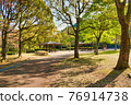 Trees and parks lit by the daytime sun 76914738