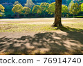 The shade of trees extending to the ground of the park 76914740