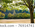 Sunlit parks and trees 76914741