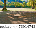 The shade of the trees in the park that stretches in the sunlight of the day 76914742