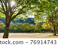 Park green trees lit by the bright sun 76914743