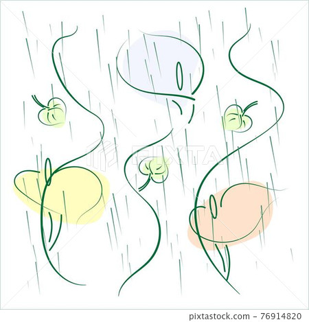 Calla Lily Flowers under Rain, vector design 76914820