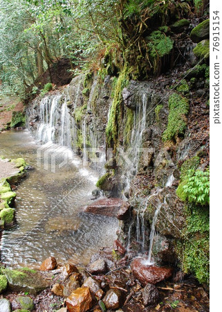 Spring in Hakone / Chisuji Falls Spring in Hakone / Chisuji Falls 76915154