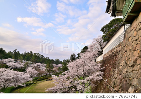 Spring Kanazawa Castle Ishikawa Gate Spring Kanazawa Castle Ishikawa Gate 76917745