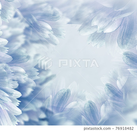 Floral light blue beautiful background.  Flowers and petals. Close-up.  composition. Greeting card  76918482