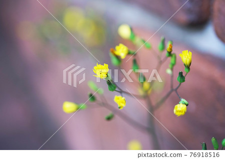 Onita Birako 76918516