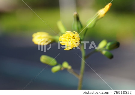 Onita Birako Onita Birako 76918532