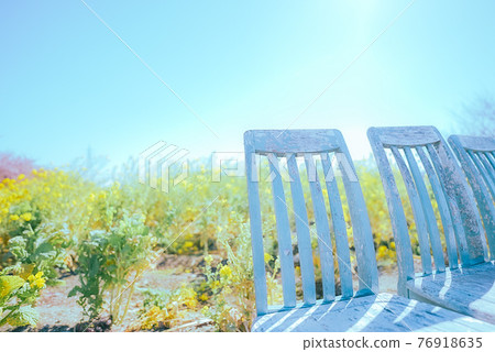 Blue chairs lined up in front of rape blossoms Blue chairs lined up in front of rape blossoms 76918635
