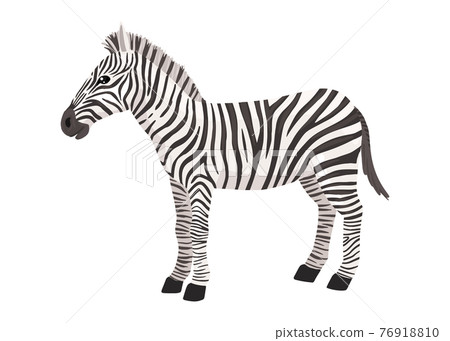 Zebra, striped horse, African savannah animal,... - Stock Illustration  [76918810] - PIXTA