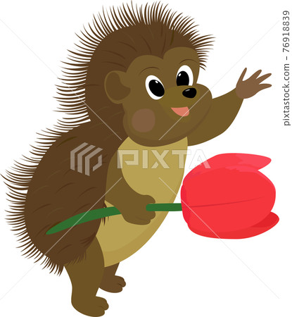 Vector illustration of hedgehog. Isolated on white. Cute cartoon character. Vector illustration of hedgehog. Isolated on white. Cute cartoon character. 76918839