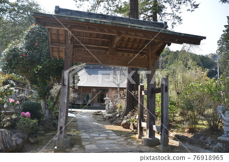 以垂枝櫻花聞名的正太寺 76918965