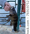 釣魚 76919752