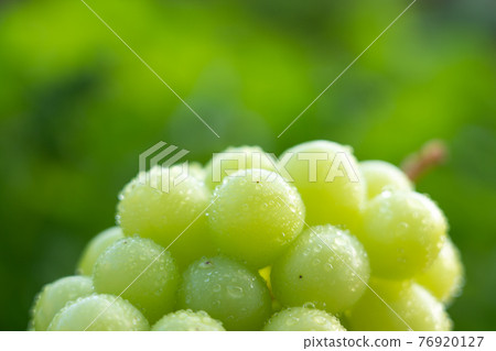 綠葡萄滴（Shine Muscat） 76920127
