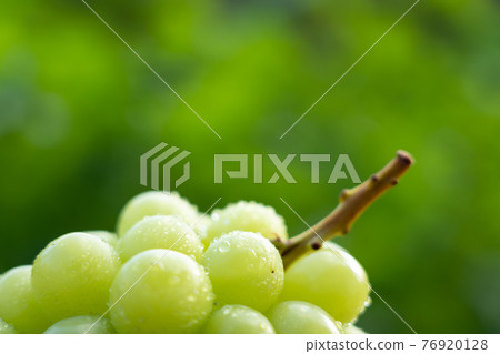 Green grape drops (Shine Muscat) 76920128