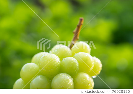 Green grape drops (Shine Muscat) 76920130