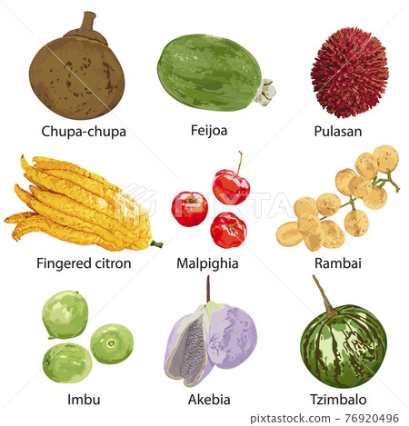 Fruits with their names on a white background. 76920496