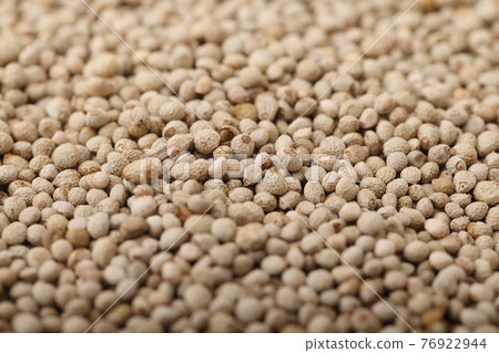 Perilla (perilla) from Iwate prefecture 76922944