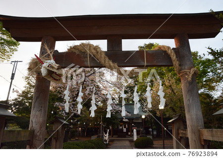 稻草蛇的島繩 76923894