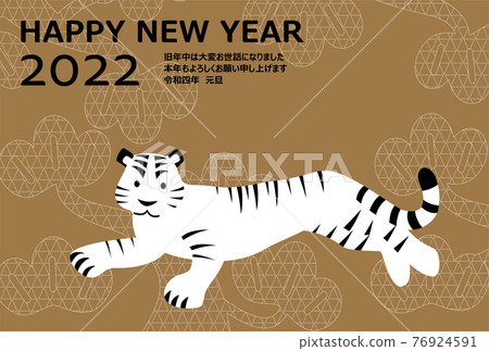 2022 New Year's card Tiger White Tiger Illustration 2022 New Year's card Tiger White Tiger Illustration 76924591