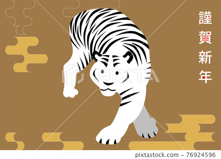 2022 New Year's card Tiger White Tiger Illustration 2022 New Year's card Tiger White Tiger Illustration 76924596