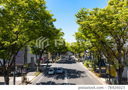 (Tokyo-Cityscape) Fresh green Koshu Kaido tree-lined landscape 5 76926023
