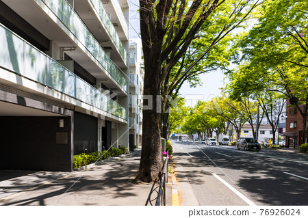 (Tokyo-Cityscape) Fresh green Koshu Kaido tree-lined landscape 4 (Tokyo-Cityscape) Fresh green Koshu Kaido tree-lined landscape 4 76926024