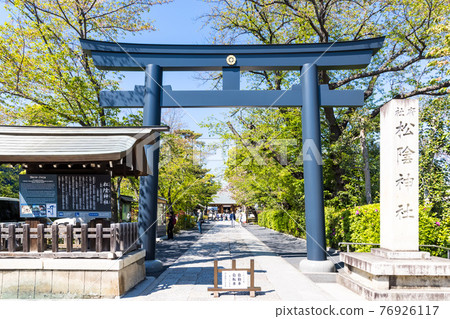 (Tokyo-Landscape) Blue Sky and Torii of Shoin Shrine 1 76926117