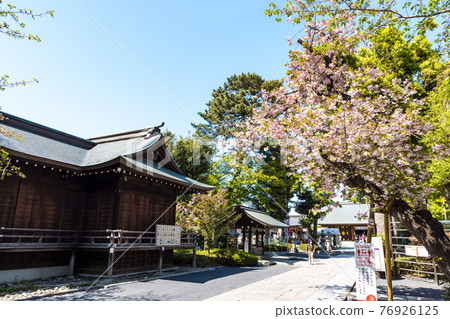 (Tokyo-Landscape) Blue Sky and Shoin Shoin Shrine Kaguraden 1 76926125