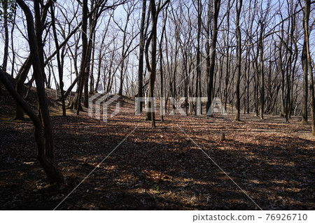群馬縣富岡市西條州心生山九連山遠足路線，近城址 76926710