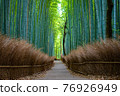 Small diameter of Kyoto bamboo grove in spring 76926949