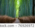 Small diameter of Kyoto bamboo grove in spring 76926972