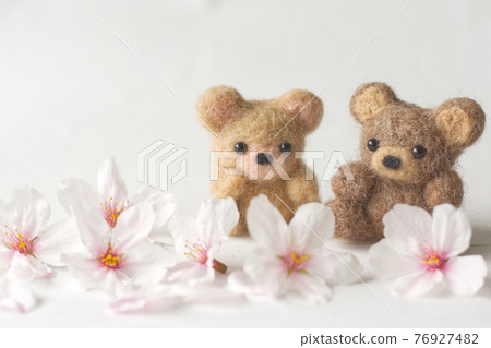 櫻花 76927482