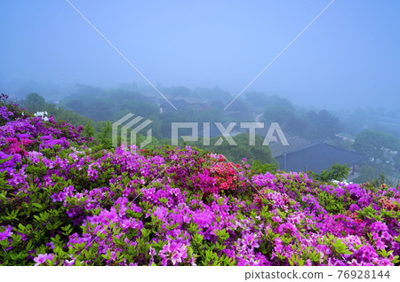 Yeongsanhong of Cheongju Munui Cultural Heritage Complex 76928144