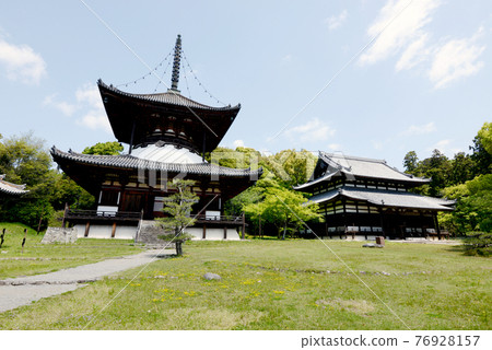 Negoroji Temple Oto and Daidenpodo Iwade City, Wakayama Prefecture 76928157