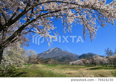 春季豬苗代町牧場（福島縣豬苗代町） 76928230