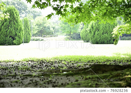 盛夏木曾三線公園 盛夏木曾三線公園 76928236